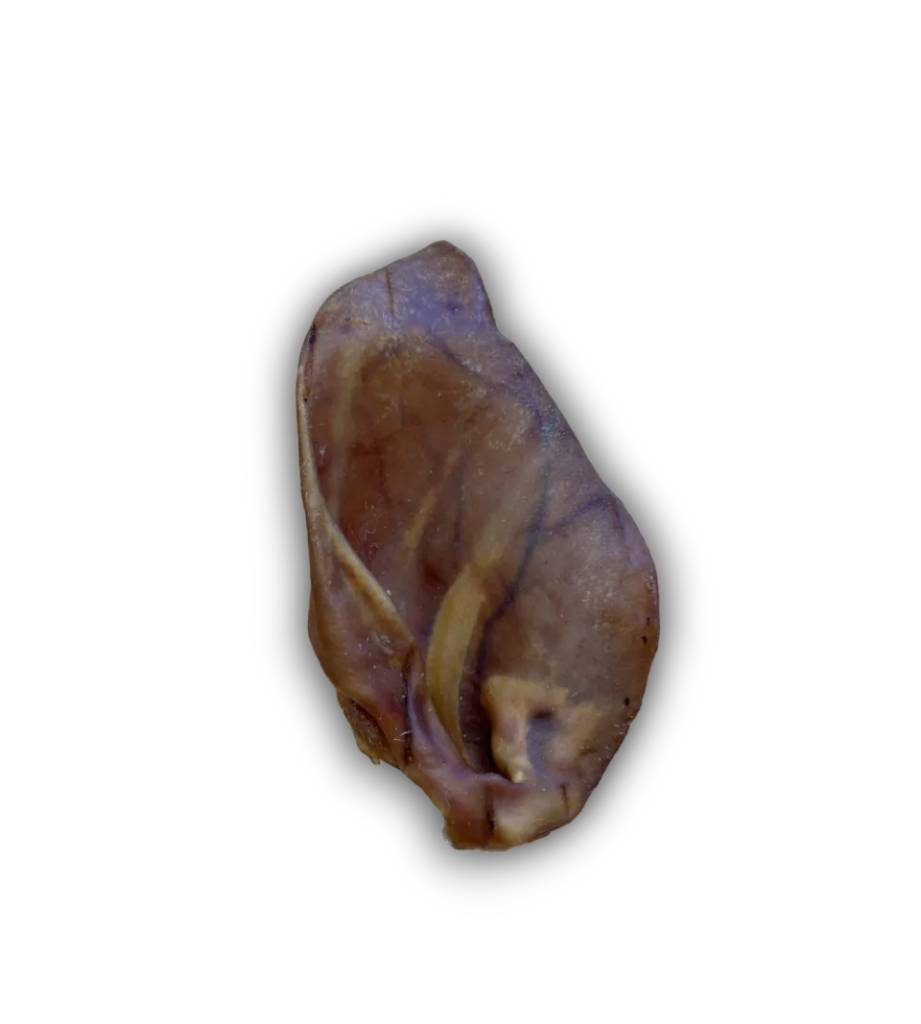 Pig Ear